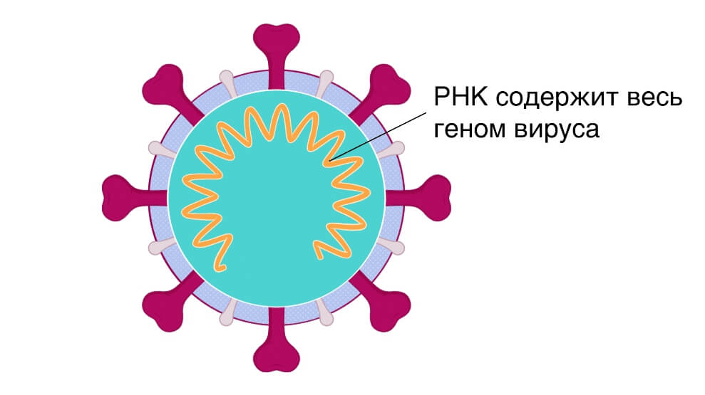 Кракен сообщество