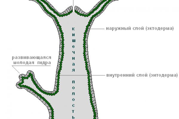 Новый адрес кракен