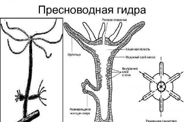 Кракен ссылка оригинал