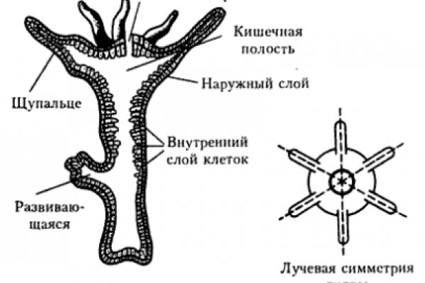 Нарко сайт кракен