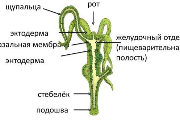 Кракен даркнет актуальная ссылка