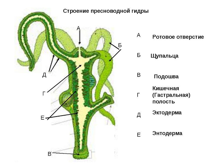 Официальный сайт кракен kraken